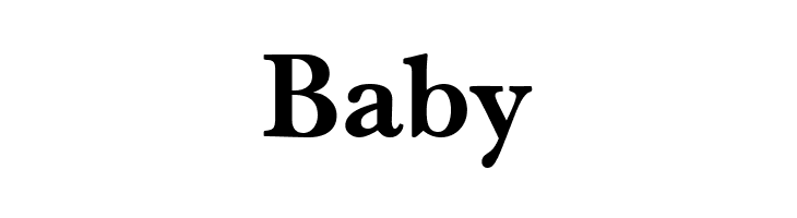 BaselBook Bold  Free Fonts Download