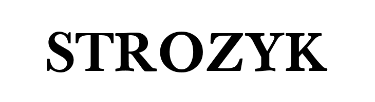 BaselBook Bold  Free Fonts Download