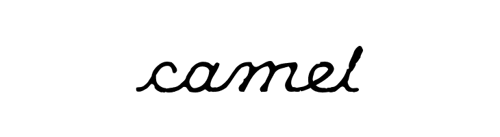 KleeCapScript  Free Fonts Download