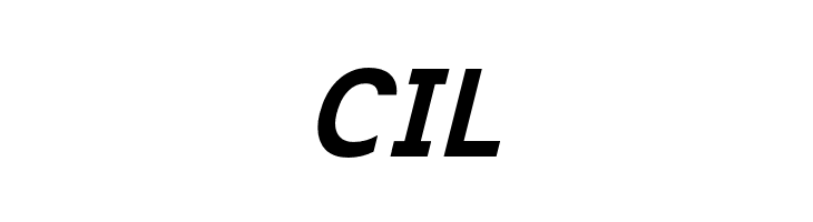 ExciteBoldItalic  Free Fonts Download
