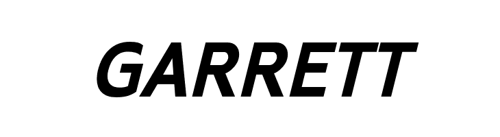 ExciteBoldItalic  Free Fonts Download