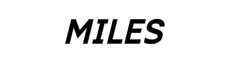 ExciteBoldItalic  Free Fonts Download