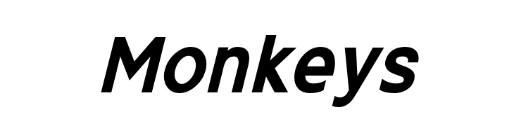 ExciteBoldItalic  Free Fonts Download