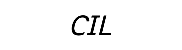 ExciteItalic  Free Fonts Download