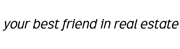 ExciteItalic  Free Fonts Download