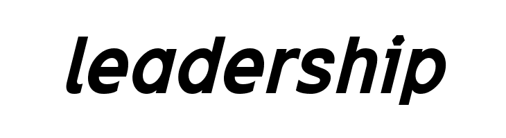 Excite Bold Italic  Free Fonts Download