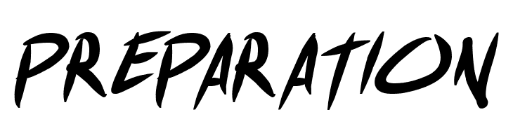 Shin Akiba Punx Bold Italic  Free Fonts Download