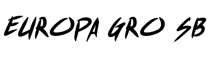 Shin Akiba Punx Bold Italic  Free Fonts Download