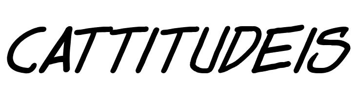 Dealspinner TBS Bold Italic  Free Fonts Download