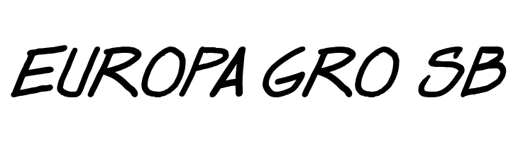 Dealspinner TBS Bold Italic  Free Fonts Download