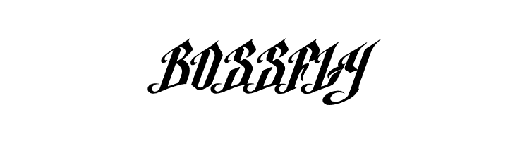 BOSSFLY Argel Font Font