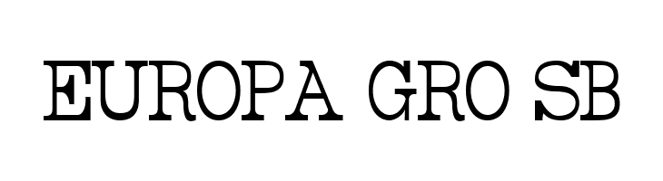 Rider Tall Ultra-condensed Light  Free Fonts Download