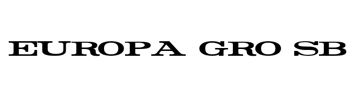 Rider Widest Ultra-expanded Bold  Free Fonts Download