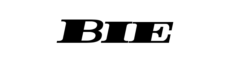 Rider ExtraBlack Italic  Free Fonts Download