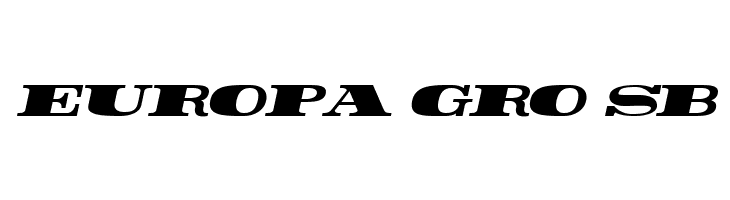 Rider ExtraBlack Italic  Free Fonts Download