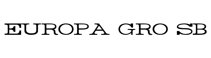 Rider Wide Expanded Light  Free Fonts Download