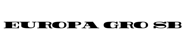 Rider Wide Expanded ExtraBlack  Free Fonts Download