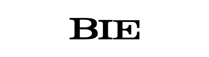 Rider Bold  Free Fonts Download