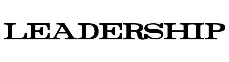 Rider Bold  Free Fonts Download