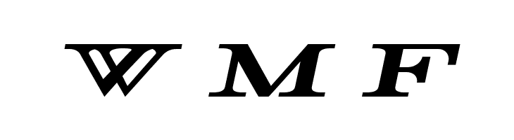 Rider Wide Expanded Bold Italic  Free Fonts Download