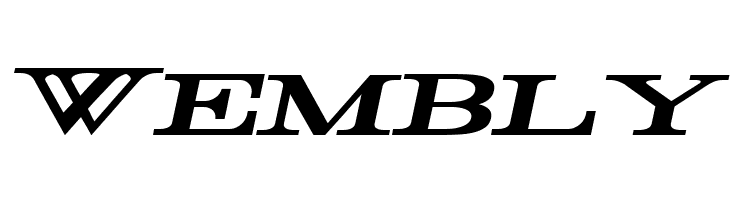 Rider Wide Expanded Bold Italic  Free Fonts Download