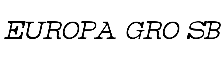 Rider Condensed Light Italic  Free Fonts Download