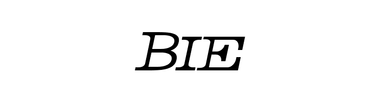 Rider Light Italic  Free Fonts Download