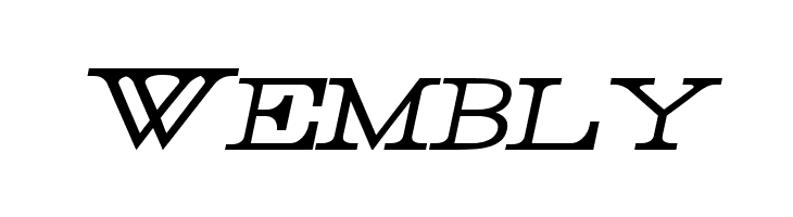 Rider Light Italic  Free Fonts Download