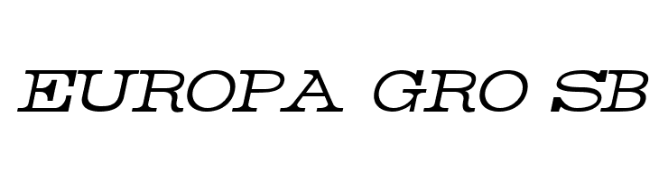 Rider Light Italic  Free Fonts Download