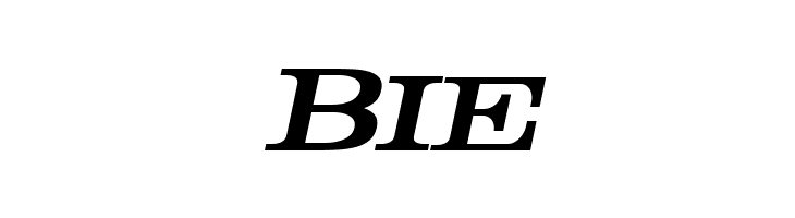 Rider Bold Italic  Free Fonts Download