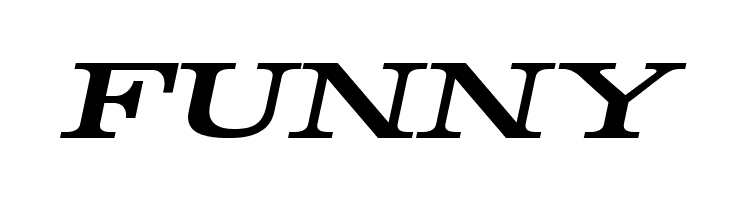 Rider Bold Italic  Free Fonts Download