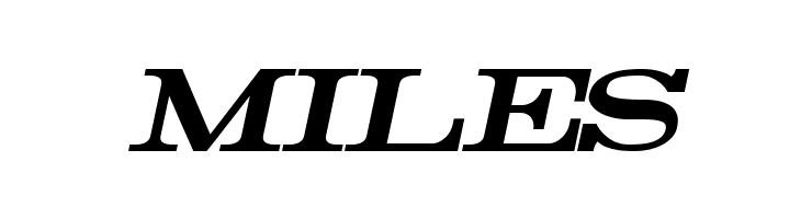 Rider Bold Italic  Free Fonts Download