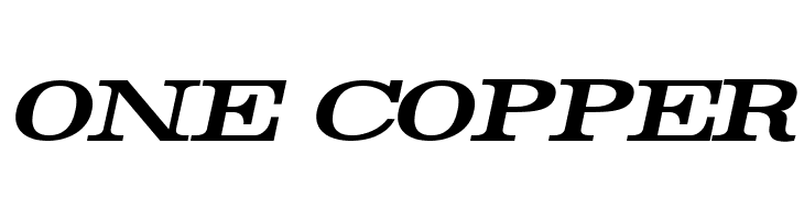 Rider Bold Italic  Free Fonts Download