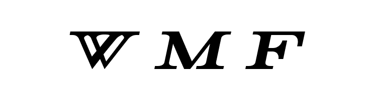 Rider Bold Italic  Free Fonts Download