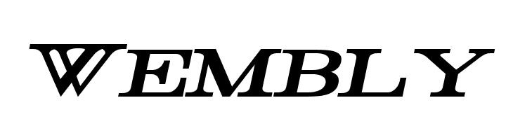 Rider Bold Italic  Free Fonts Download