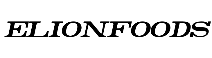 Rider Bold Italic  Free Fonts Download