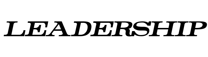 Rider Bold Italic  Free Fonts Download