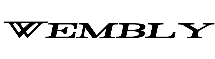 Rider Widest Ultra-expanded Bold Italic  Free Fonts Download