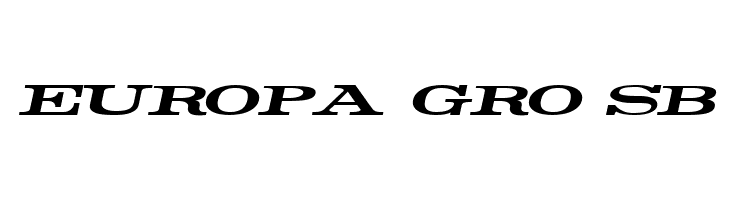 Rider Widest Ultra-expanded Bold Italic  Free Fonts Download