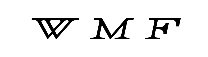 Rider Wide Expanded Light Italic  Free Fonts Download