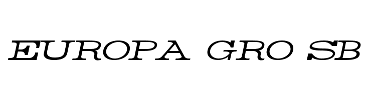 Rider Wide Expanded Light Italic  Free Fonts Download