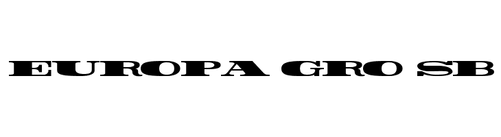 Rider Widest Ultra-expanded ExtraBlack  Free Fonts Download