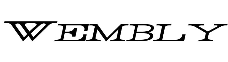 Rider Widest Ultra-expanded Light Italic  Free Fonts Download