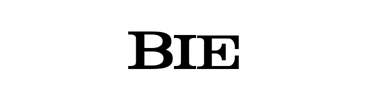 Rider Condensed Bold  Free Fonts Download