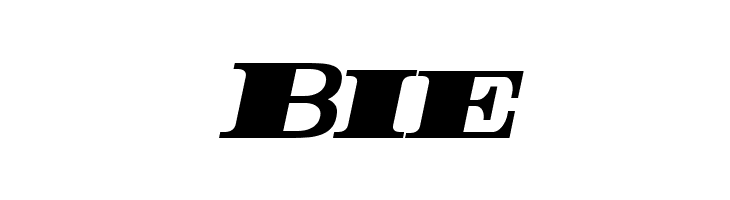 Rider Condensed ExtraBlack Italic  Free Fonts Download