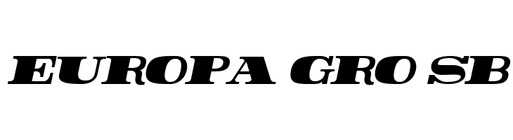 Rider Condensed ExtraBlack Italic  Free Fonts Download