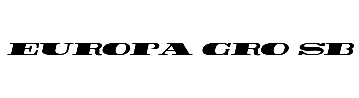 Rider Wide Expanded ExtraBlack Italic  Free Fonts Download