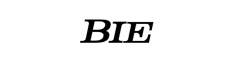 Rider Condensed Bold Italic  Free Fonts Download