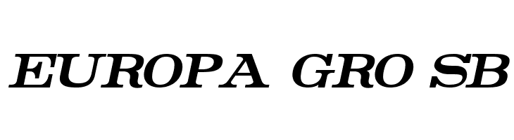 Rider Condensed Bold Italic  Free Fonts Download