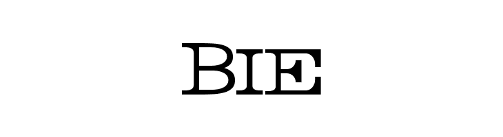 Rider Light  Free Fonts Download